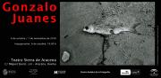 Gonzalo Juanes, Aracena