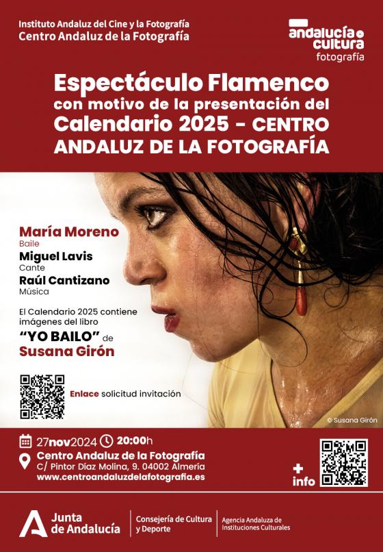 espectculo flamenco