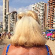 Exposiciones Alcazaba de Almer�a