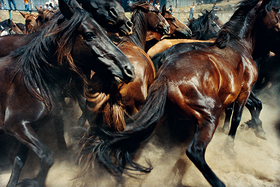 Fotografa de Cristbal Hara realizada en copia cromognica en 2005