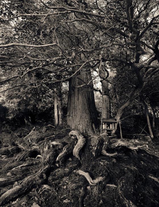 Copyright. Sanni Seppo. La isla de los espritus. Lugares sagrados. Hoko Jinjya Shrine. Santuario Sintosta. Japn, 2009.