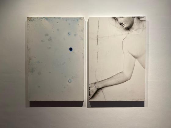 Roma, de David Jimnez