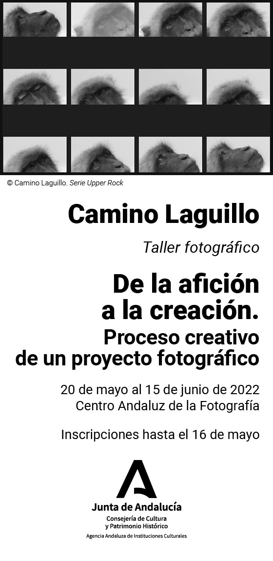 Taller Camino Laguillo en el CAF